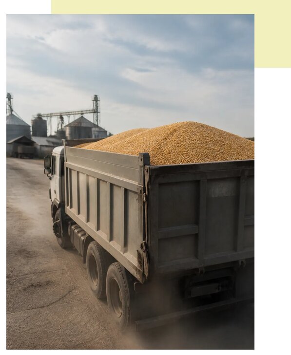 Перевозка сельхозпродукции навалом в Дагестанских Огни по цене от 3097 р. | Агросервис-Дгс